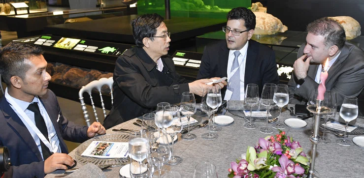 Robin Ahmed, Bing-Rong Liu, Stavro Stavropoulos y Mohammad Al Haddad
